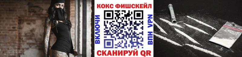 Cocaine FishScale  купить  цена  Хадыженск 