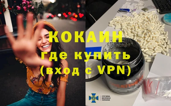 твердый Алексеевка