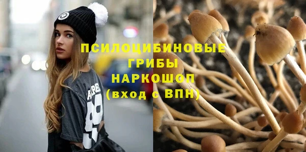 твердый Алексеевка