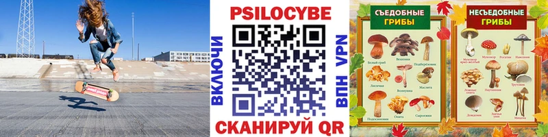 Галлюциногенные грибы ЛСД  Хадыженск 